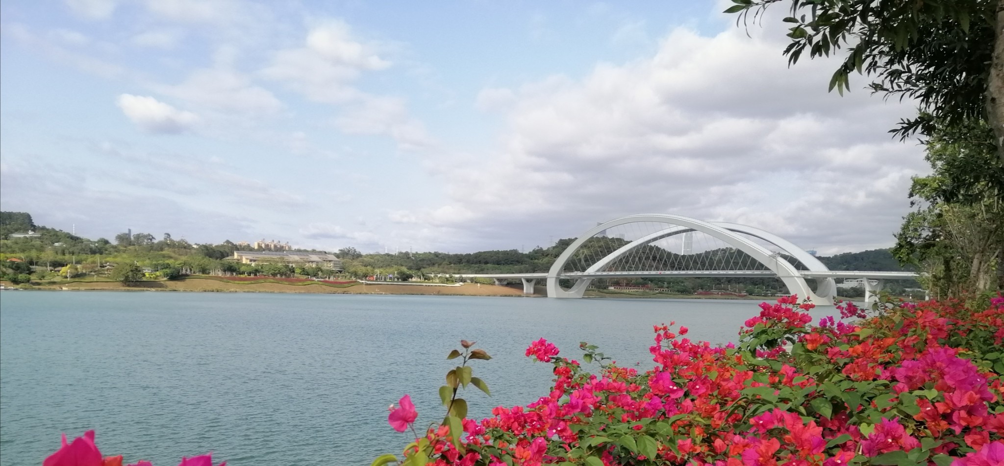 广西云南春游记