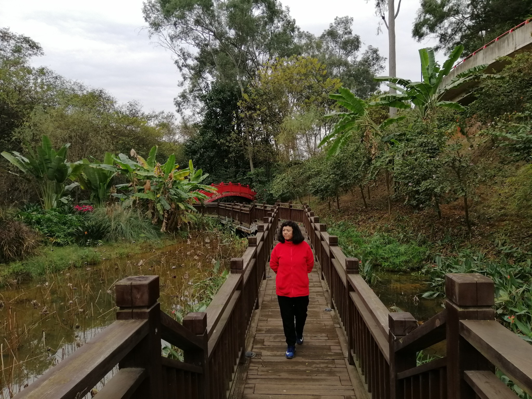 广西云南春游记