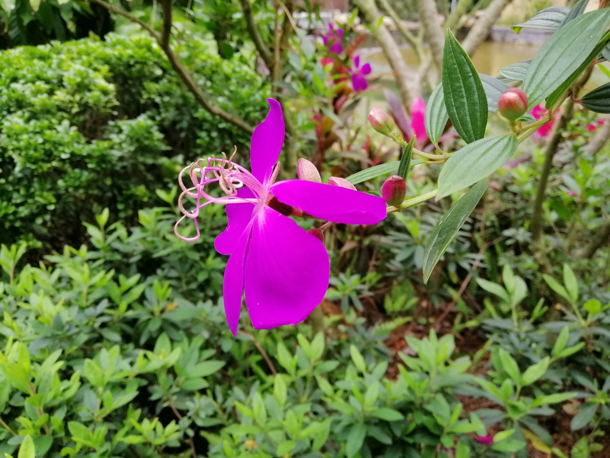 广西云南春游记