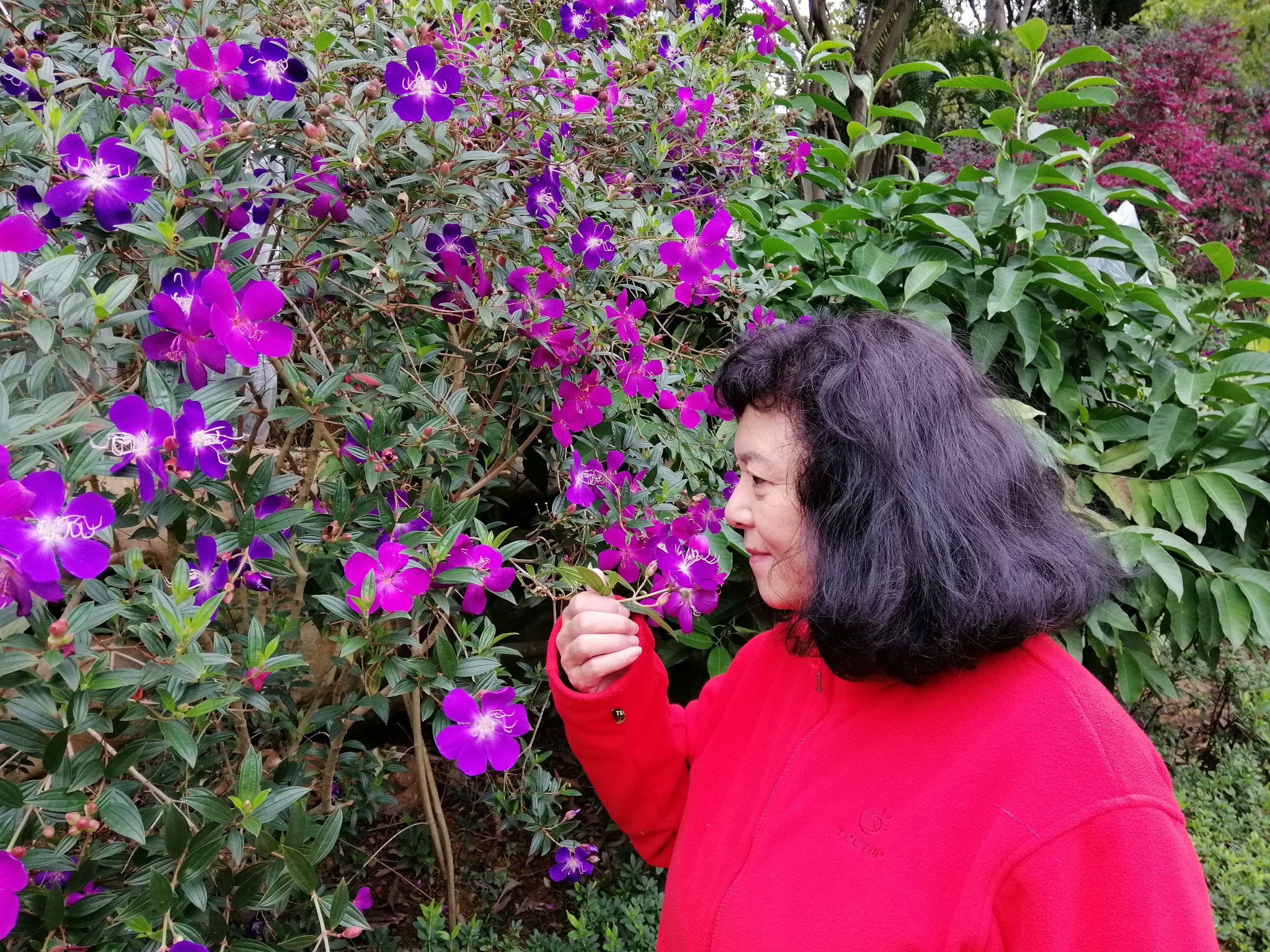 广西云南春游记