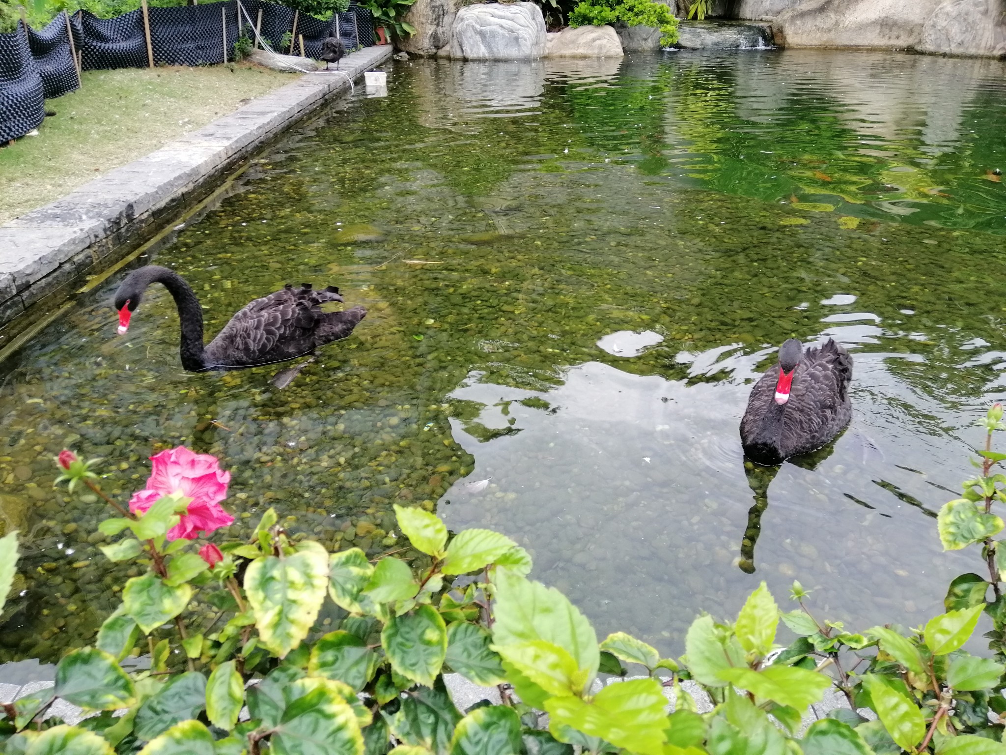 广西云南春游记