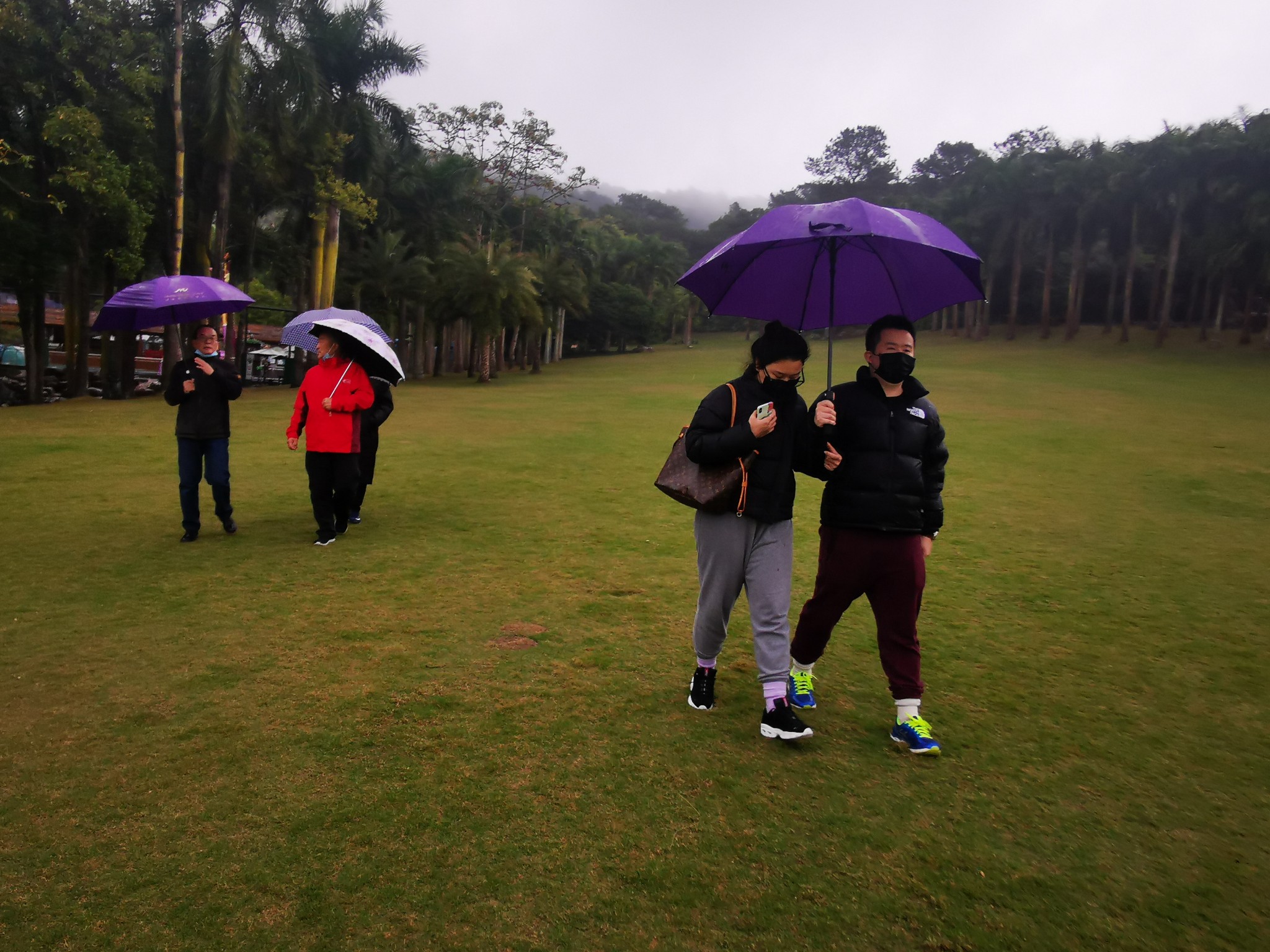 广西云南春游记