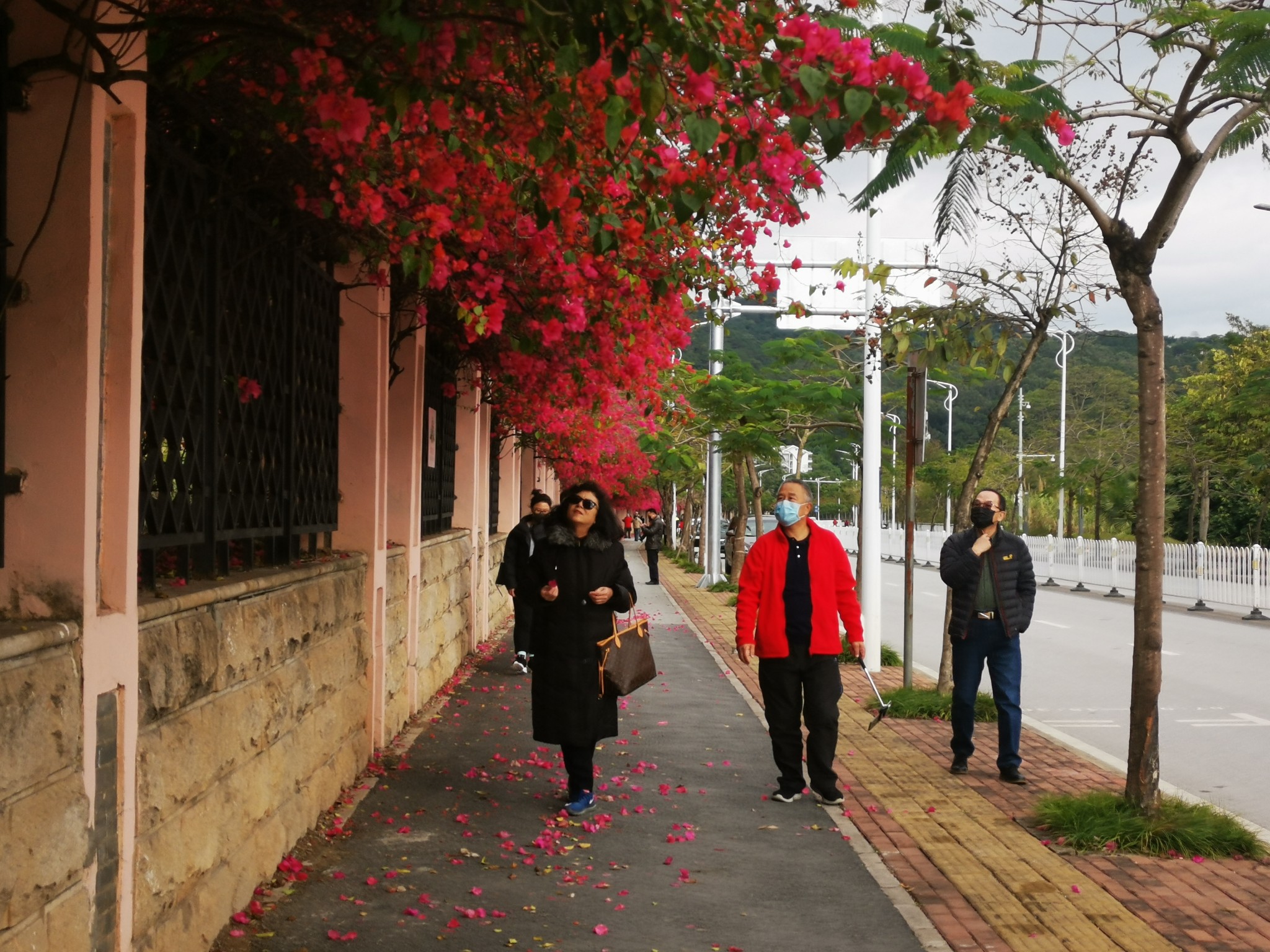 广西云南春游记