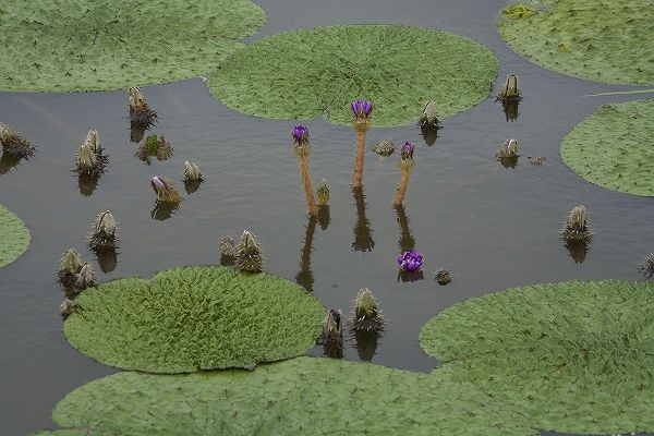 潜派旅行