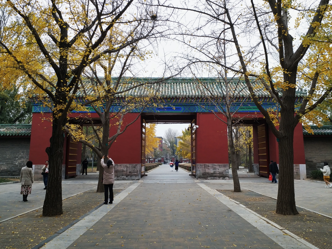 20191117北京78地坛公园78游记