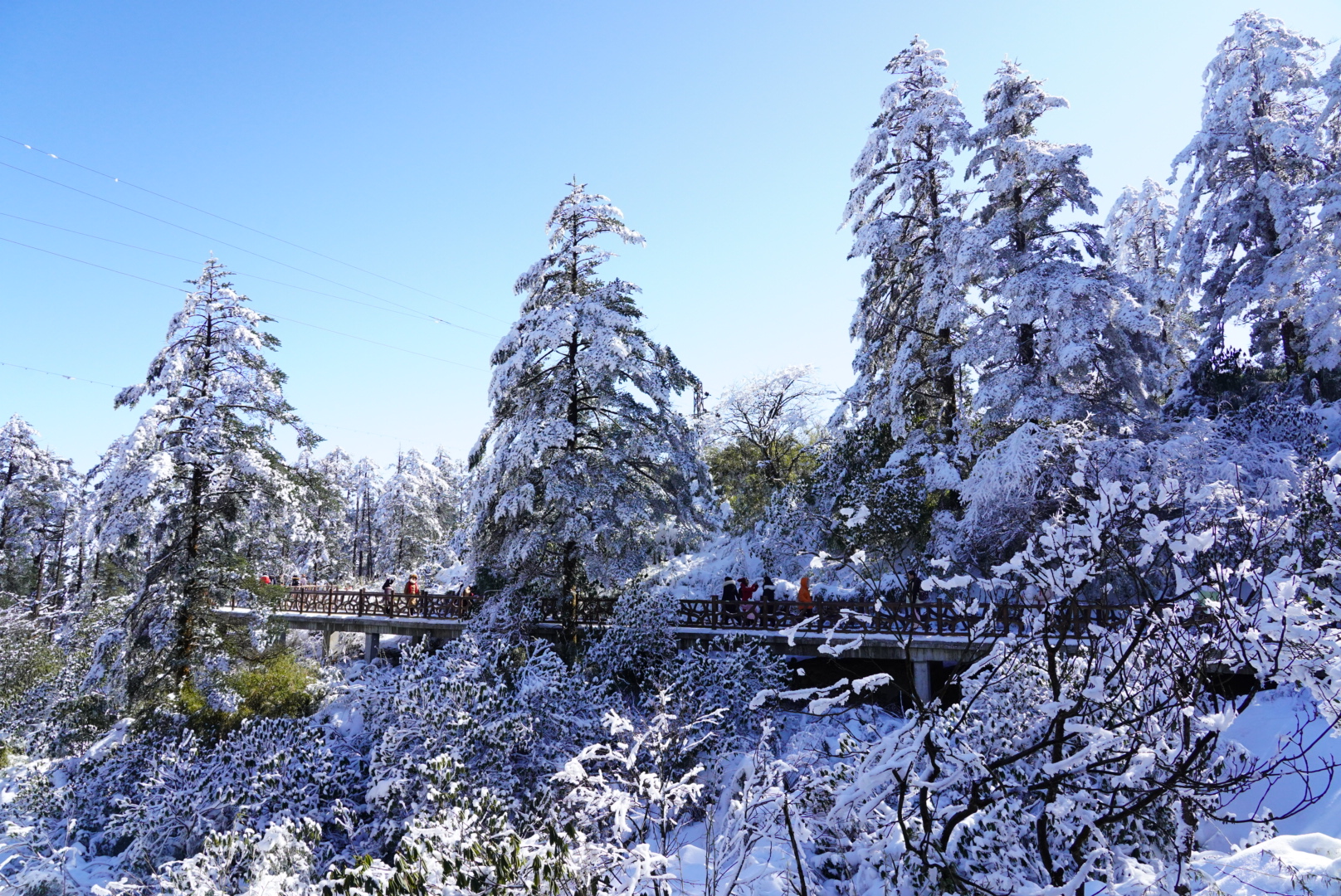 一日游玩雪推荐,瓦屋山玩雪,解锁玩雪新地方