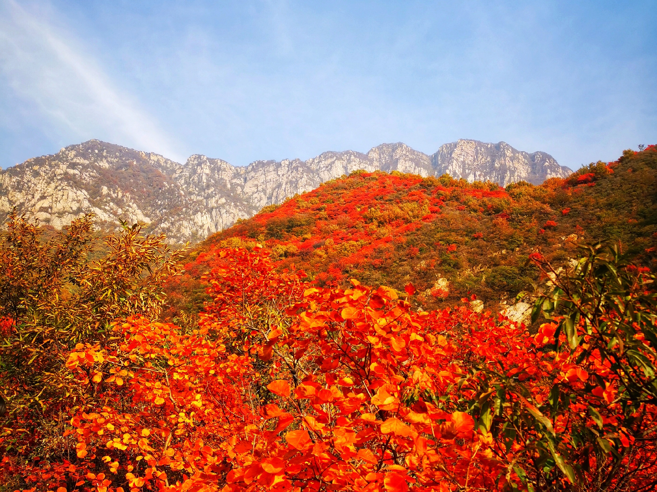 登封嵩山风景名胜区-三祖庵塔攻略,嵩山风景名胜区-三祖庵塔门票_地址