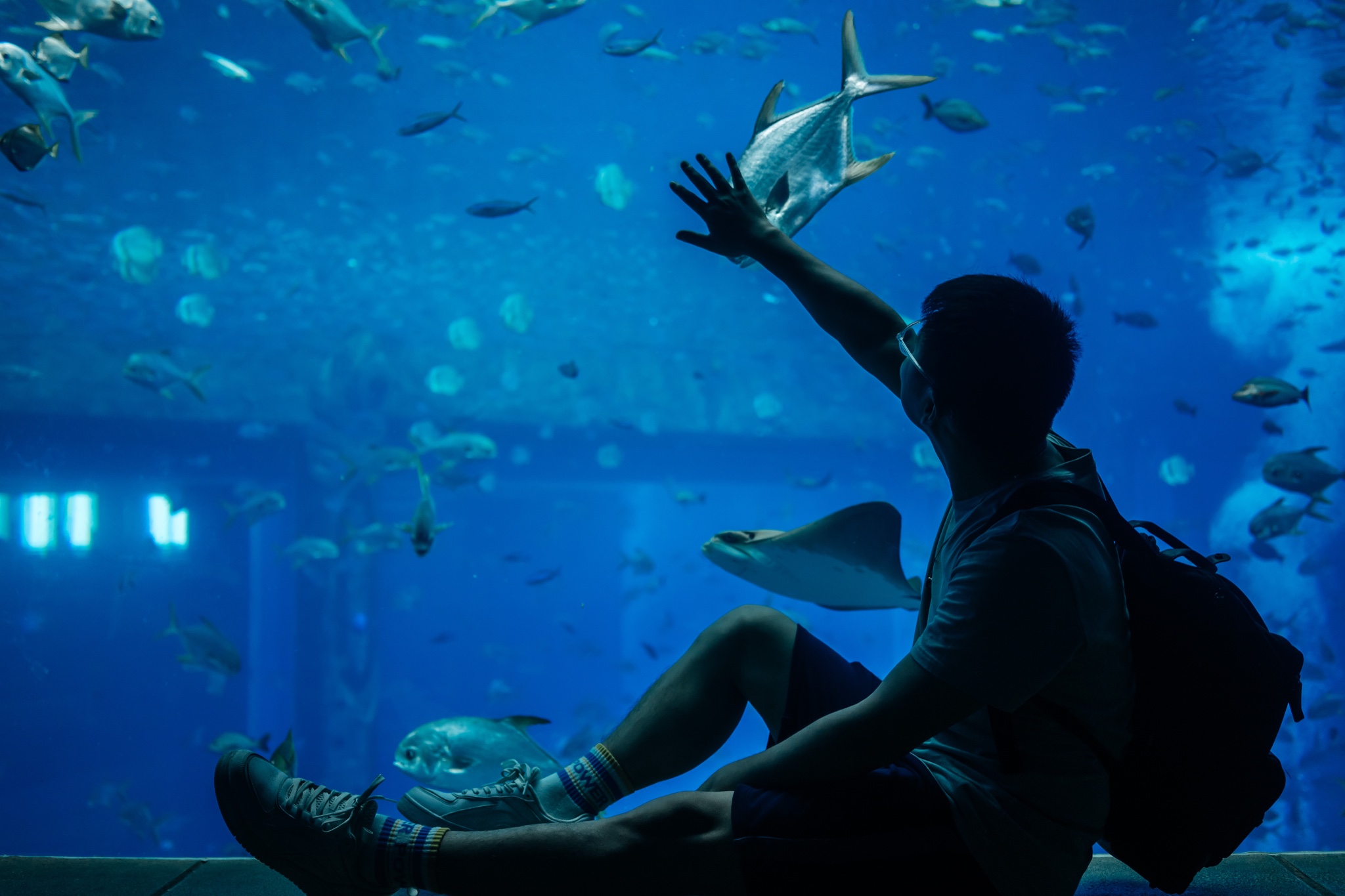 亚特兰蒂斯失落的空间水族馆