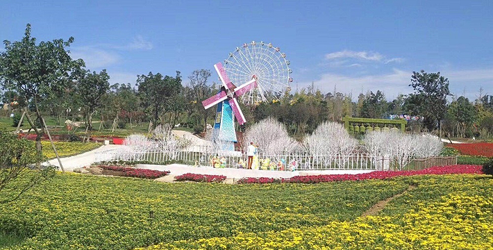 四川成都 音乐百花谷门票