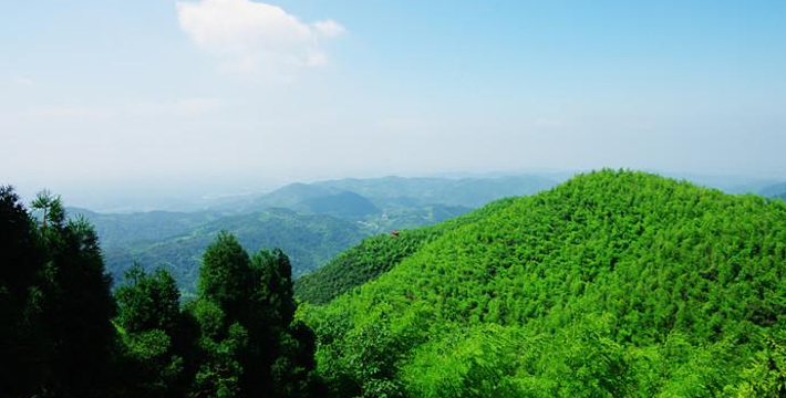 湖南长沙 黑麋峰森林公园门票