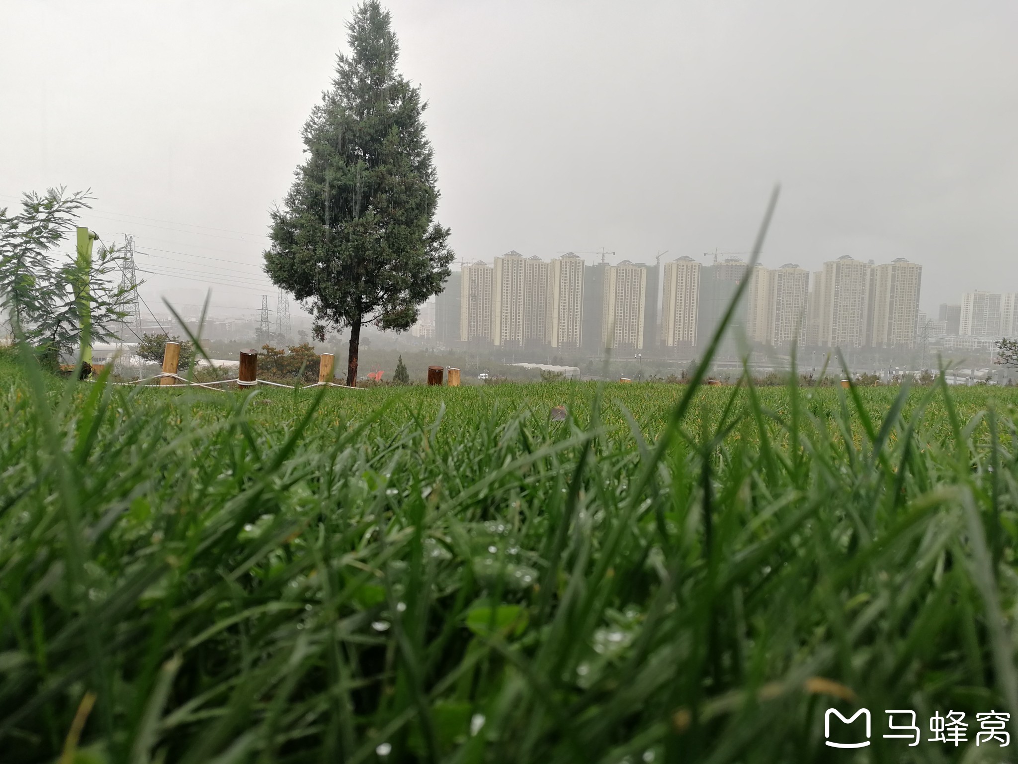 野奢户外露营地，你打卡了吗？_游记