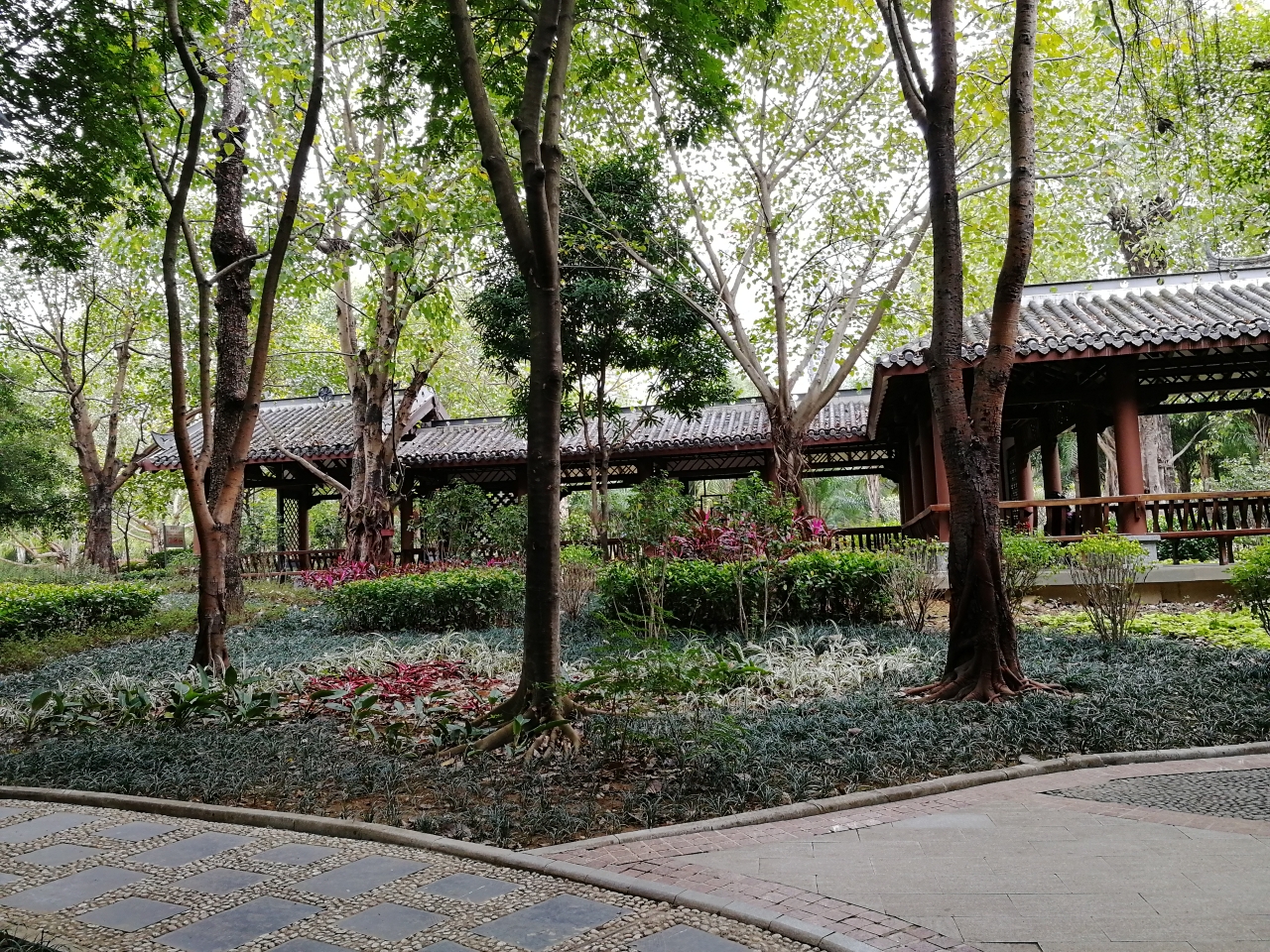 南湖公园~名树博览园