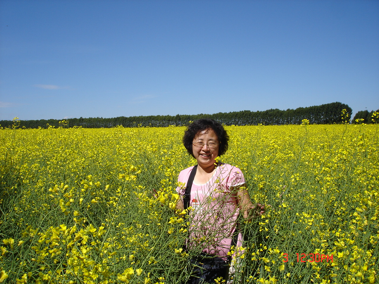 2010年8月2日游昭苏、路过特克斯八卦城_游记