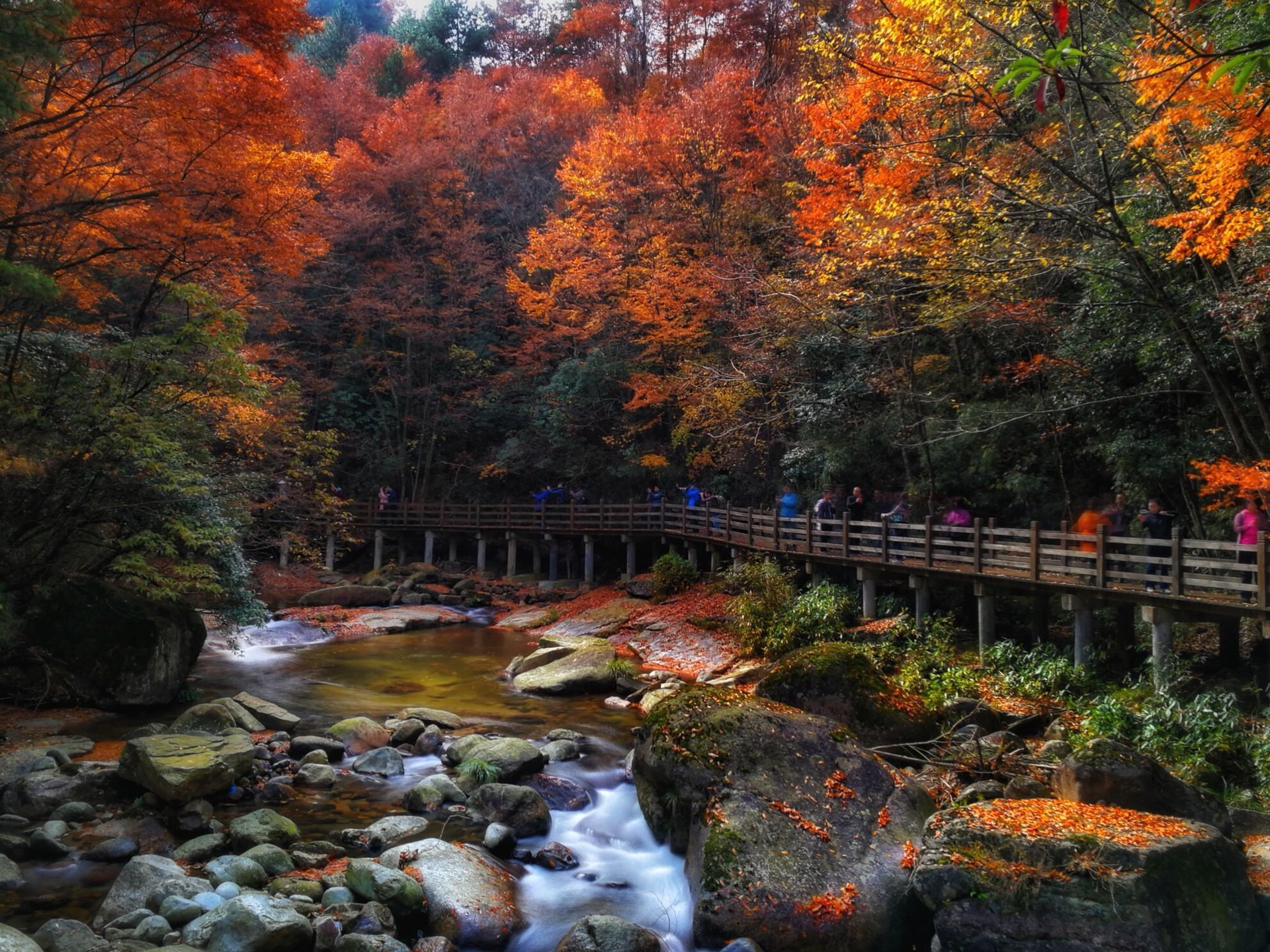 四川光雾山游记—观仙山红叶,宿星空木屋_游记