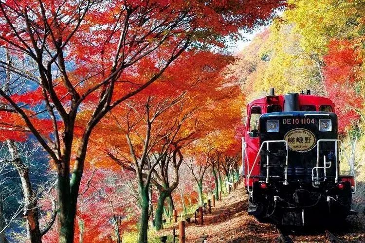 潜派旅行