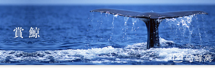 几月份去日本冲绳比较好