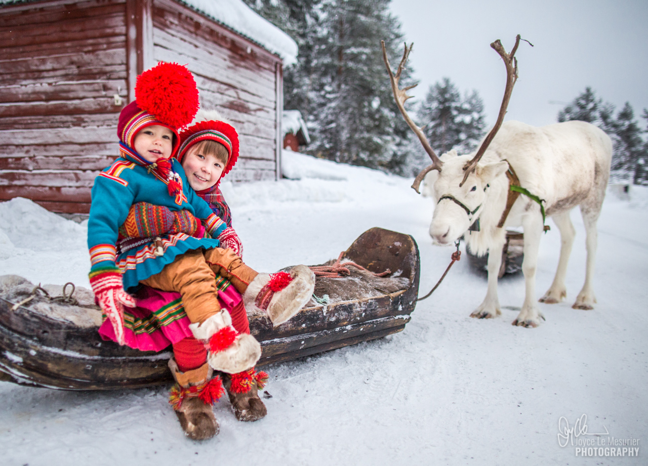 芬兰拉普兰罗瓦涅米冬季森林的驯鹿雪橇 库存图片. 图片 包括有 暂挂, 拉普兰, 线索, 圈子, 森林 - 163384991