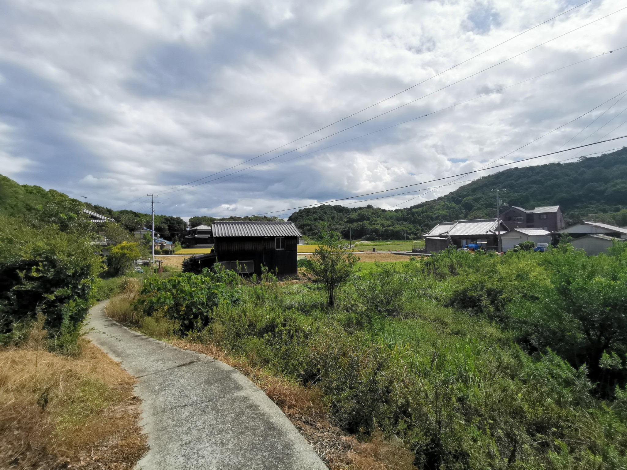 日本四国,四国地方(德岛县·香川县·高知县)
