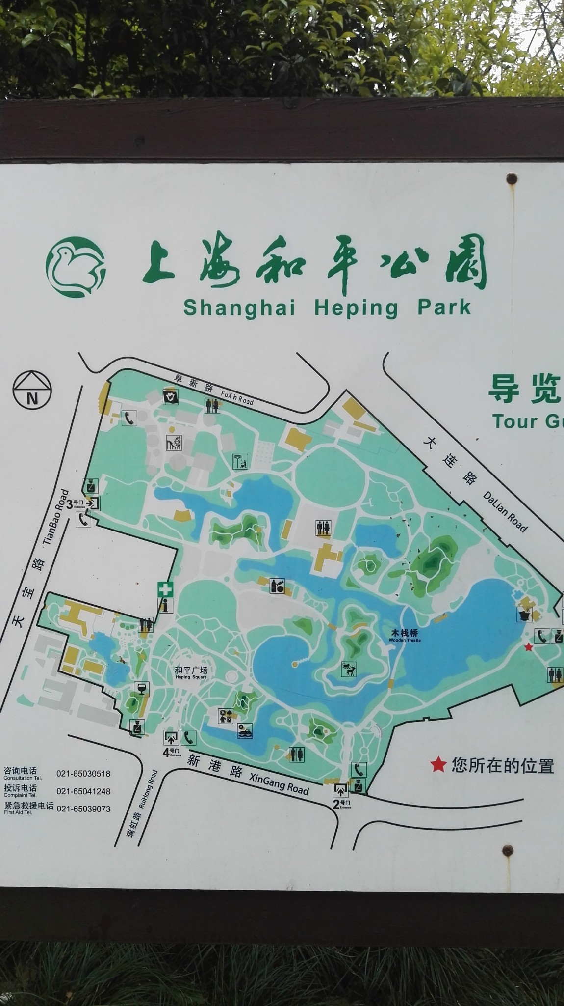 2018-4和平,大宁公园