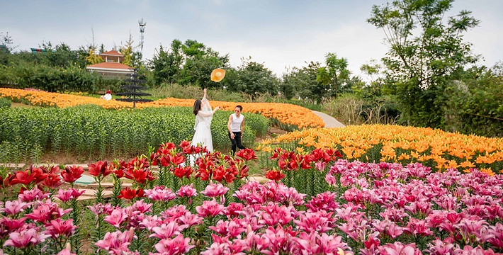 漫花庄园景区门票