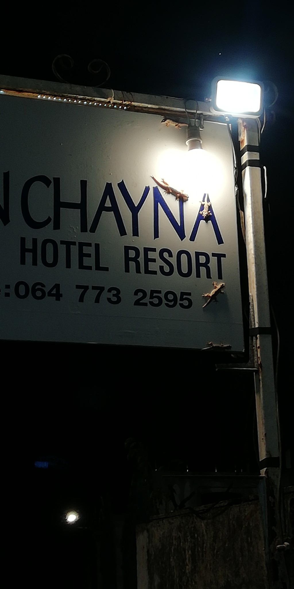 泰国旅游记（上）