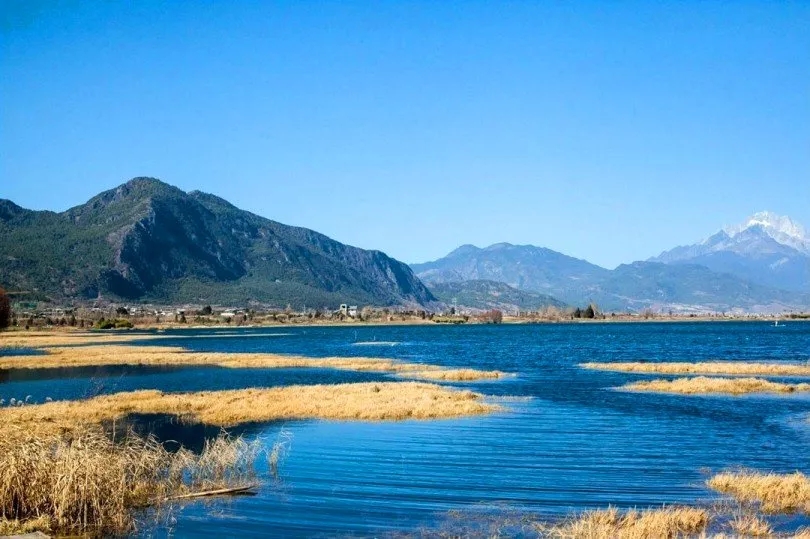 丽江赏秋好去处:中济海,文笔海,指云寺,丽江古城