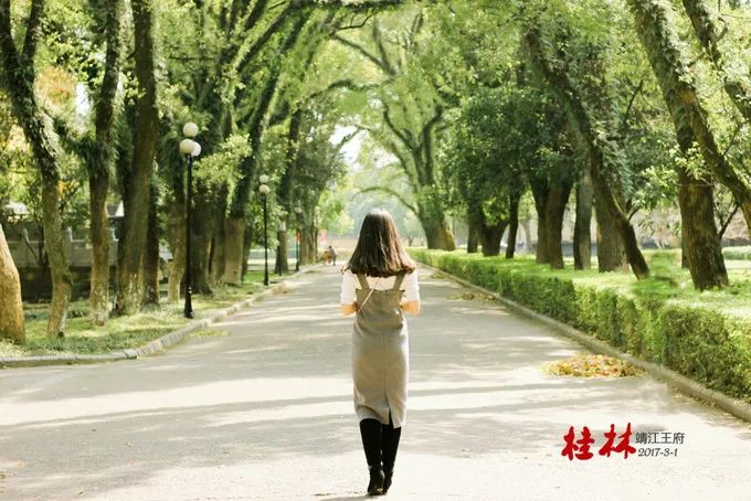 桂林阳朔山水甲天下4日游桂林旅游攻略桂林旅游攻略