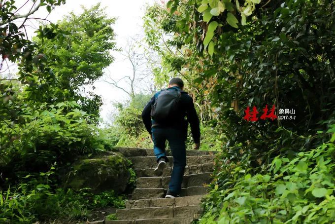 桂林阳朔山水甲天下4日游桂林旅游攻略桂林旅游攻略