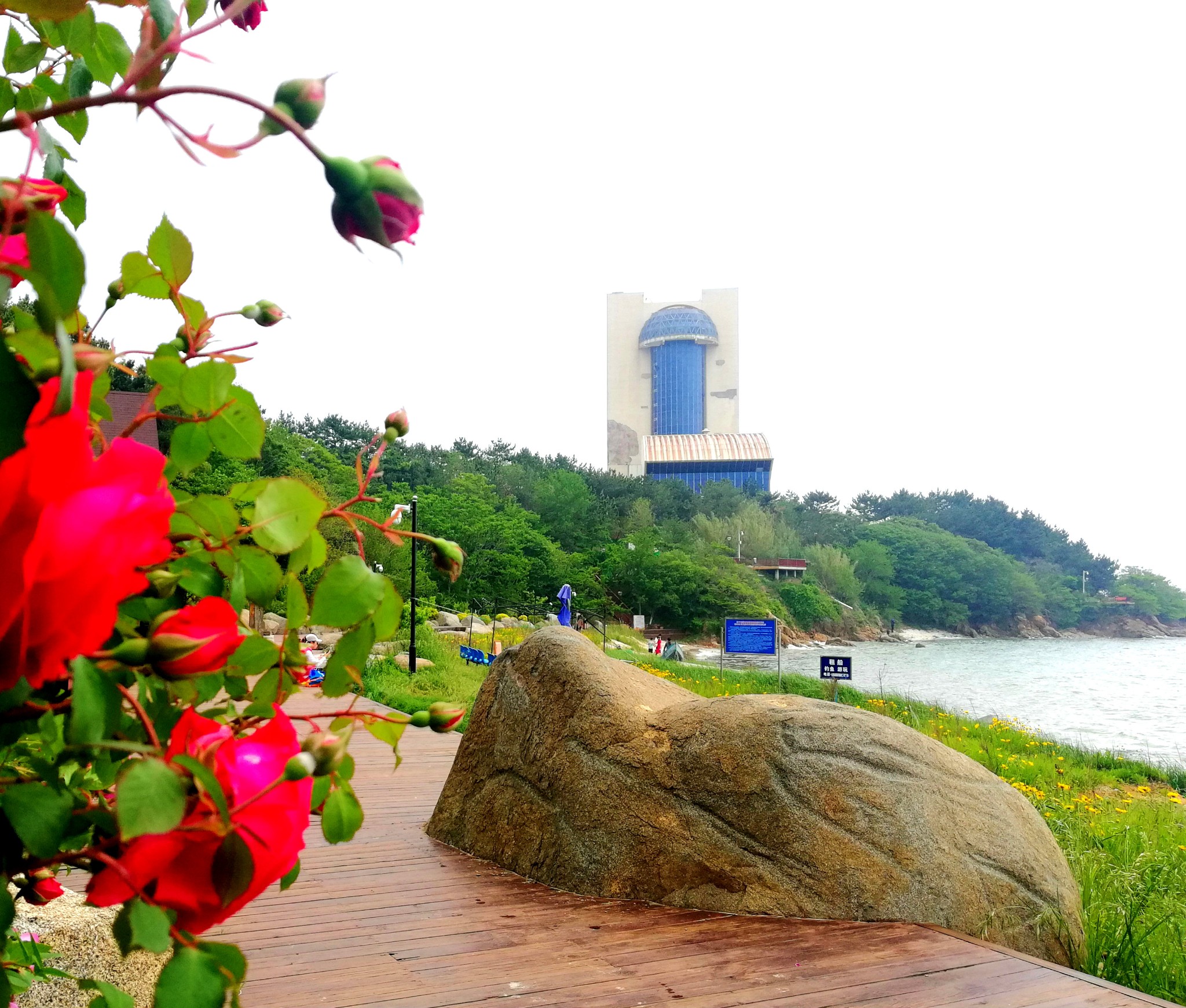 海源公园段,威海最美的景观大道
