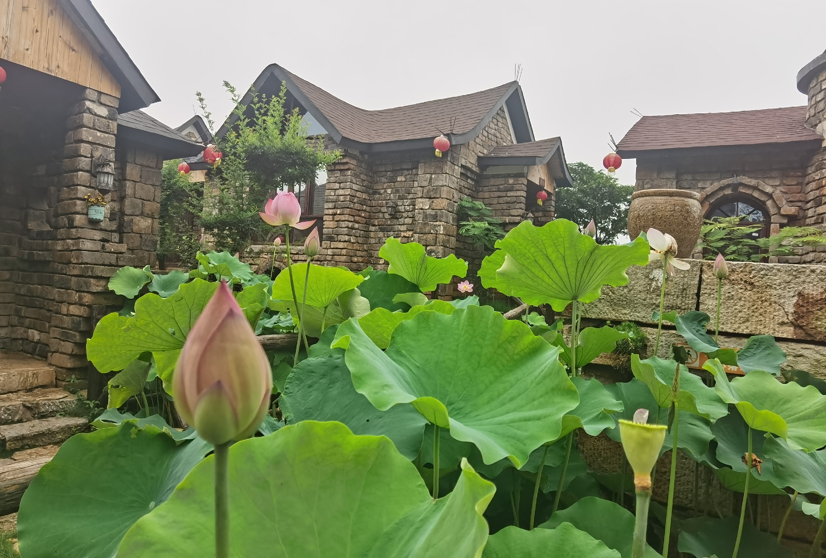 嘉鱼县旅游图片