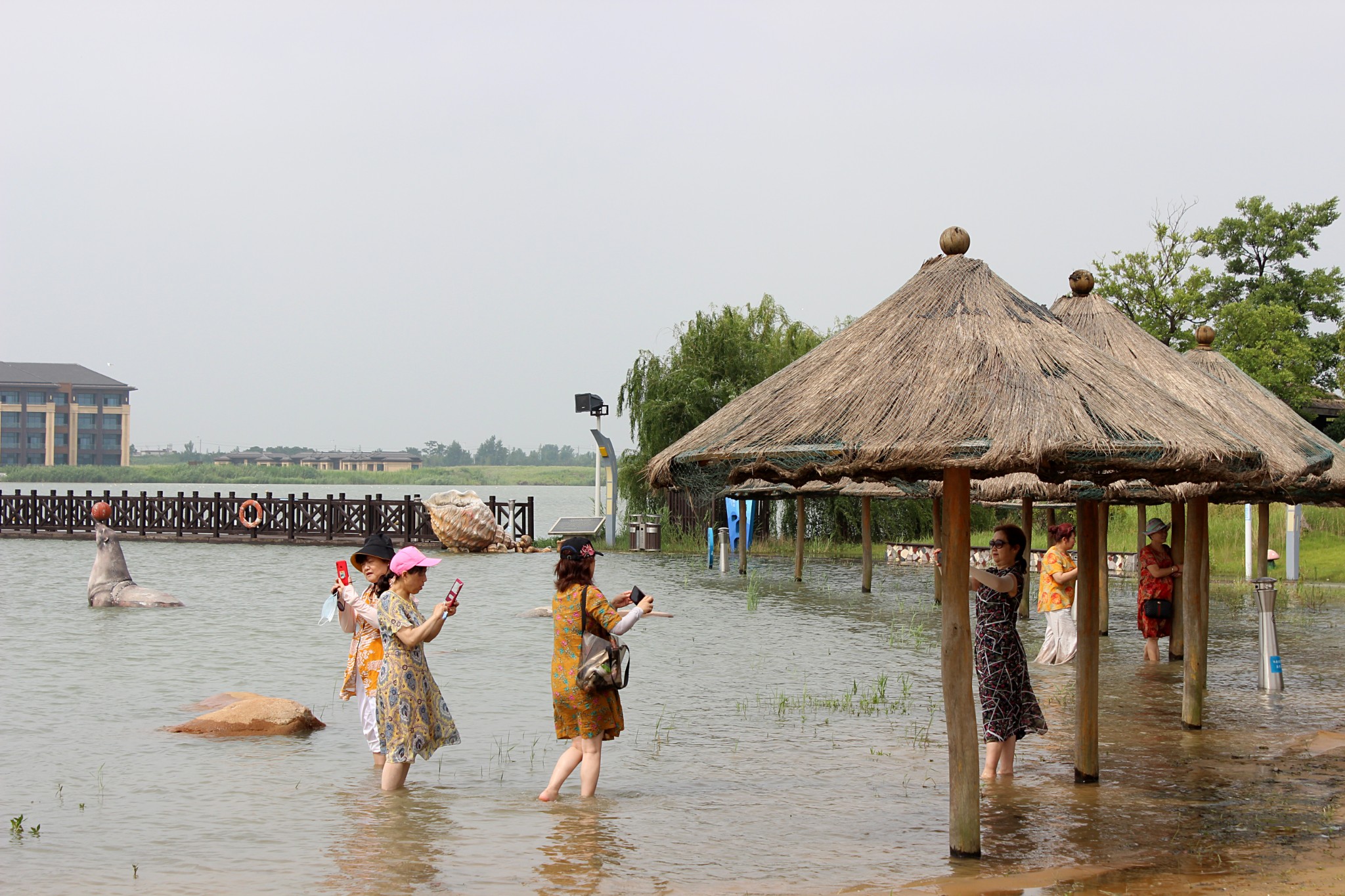 走进阜宁金沙湖旅游度假区