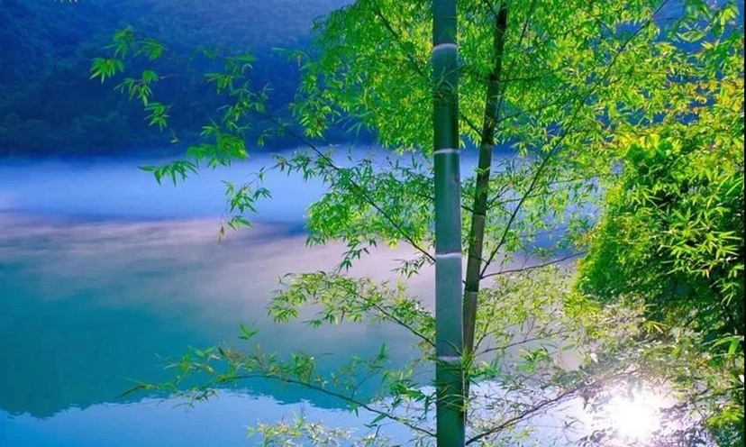 第一次旅游,不知道要自驾游还是包团?一团雾