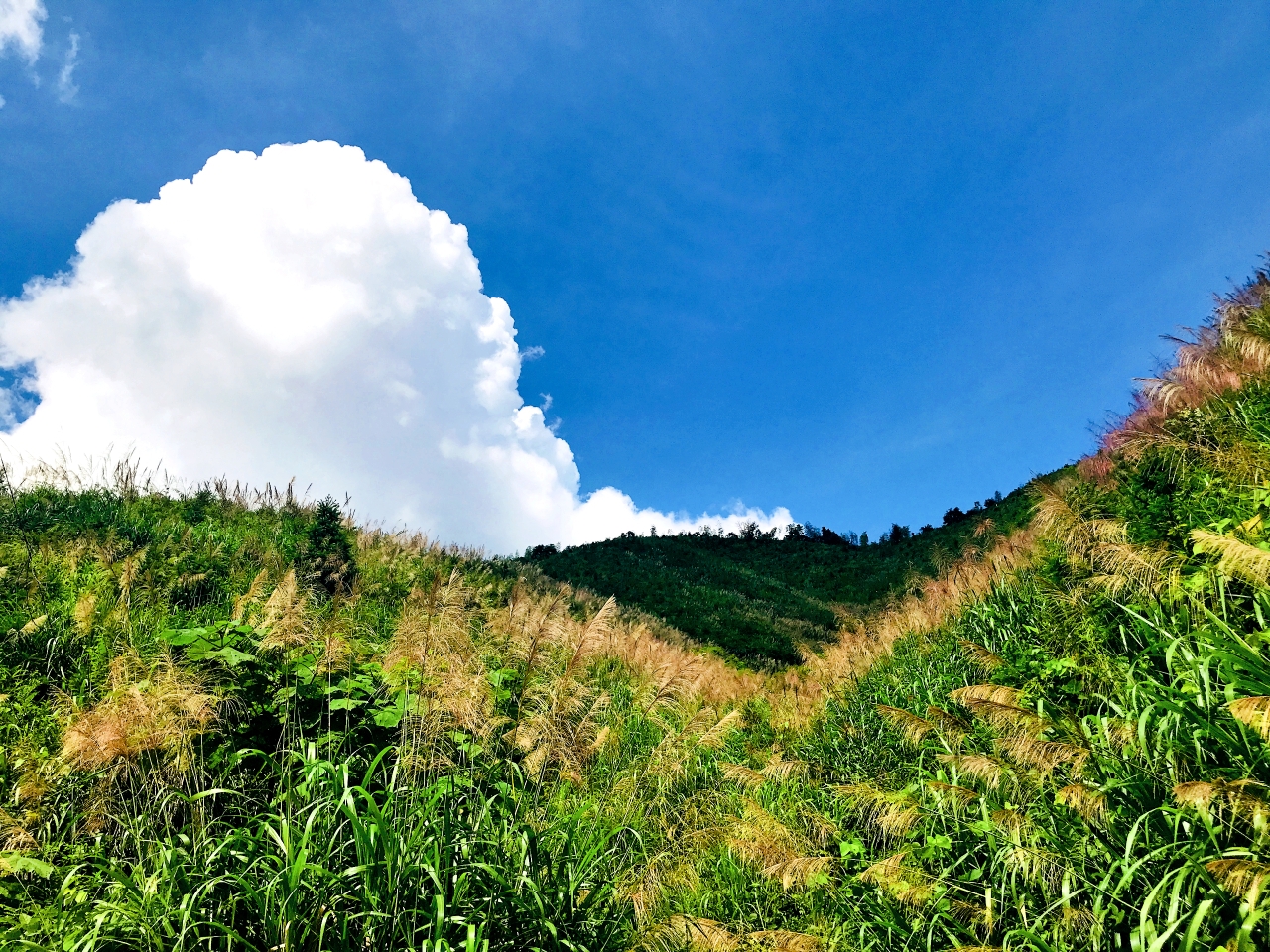 第二站: 双溪草山