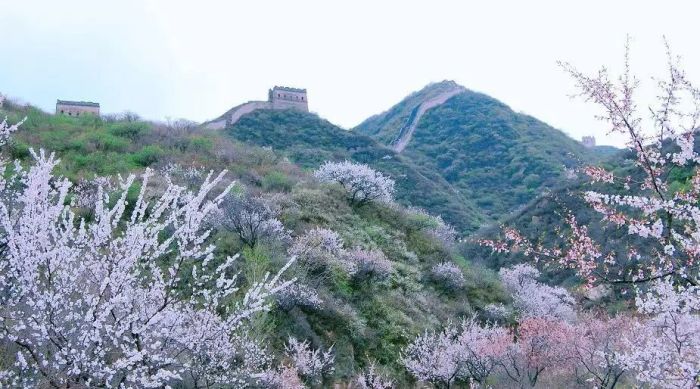 1,八达岭长城什么季节去比较合适?景色最好