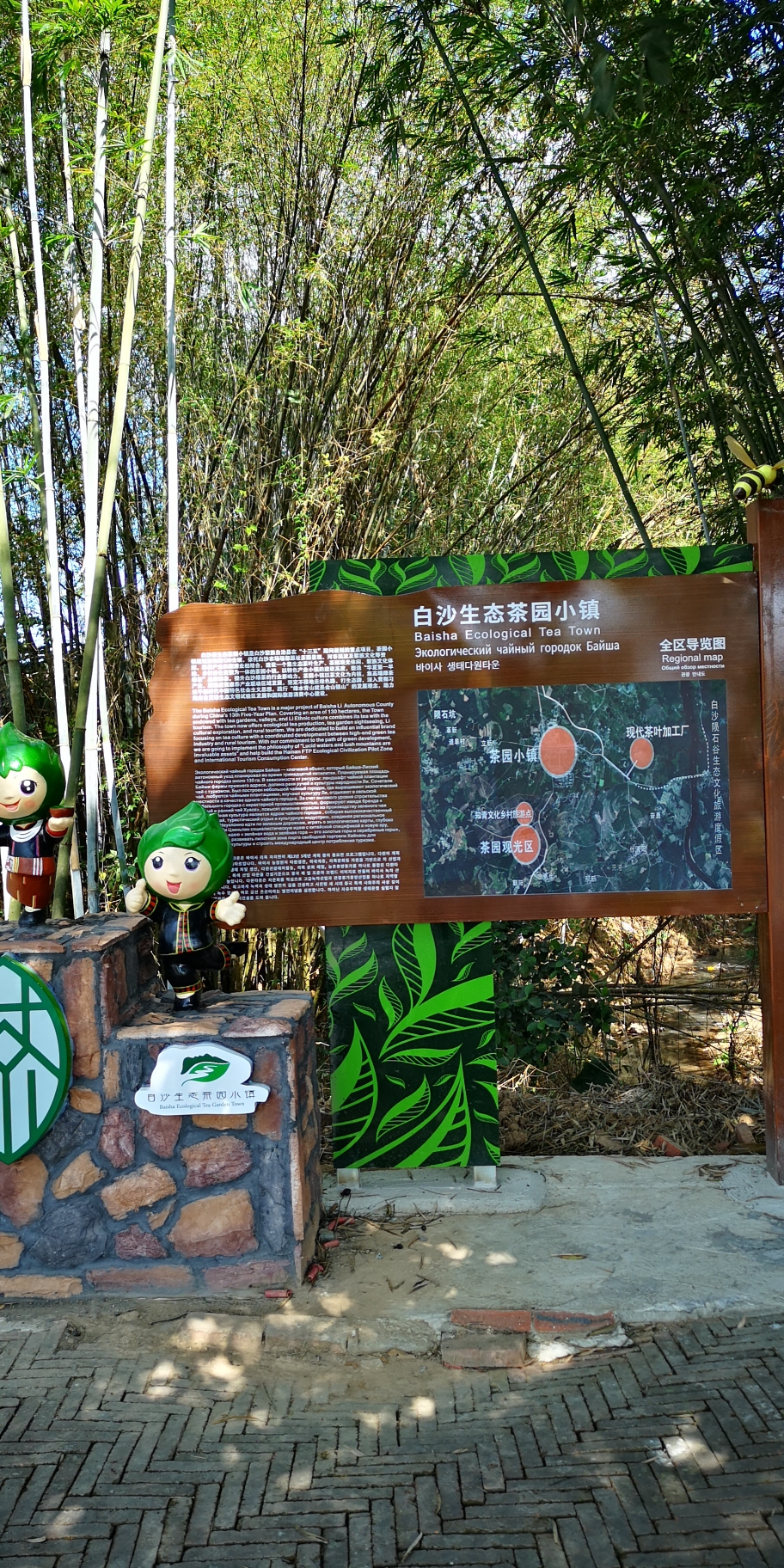 海南白沙原生态茶园小镇,别样美丽!