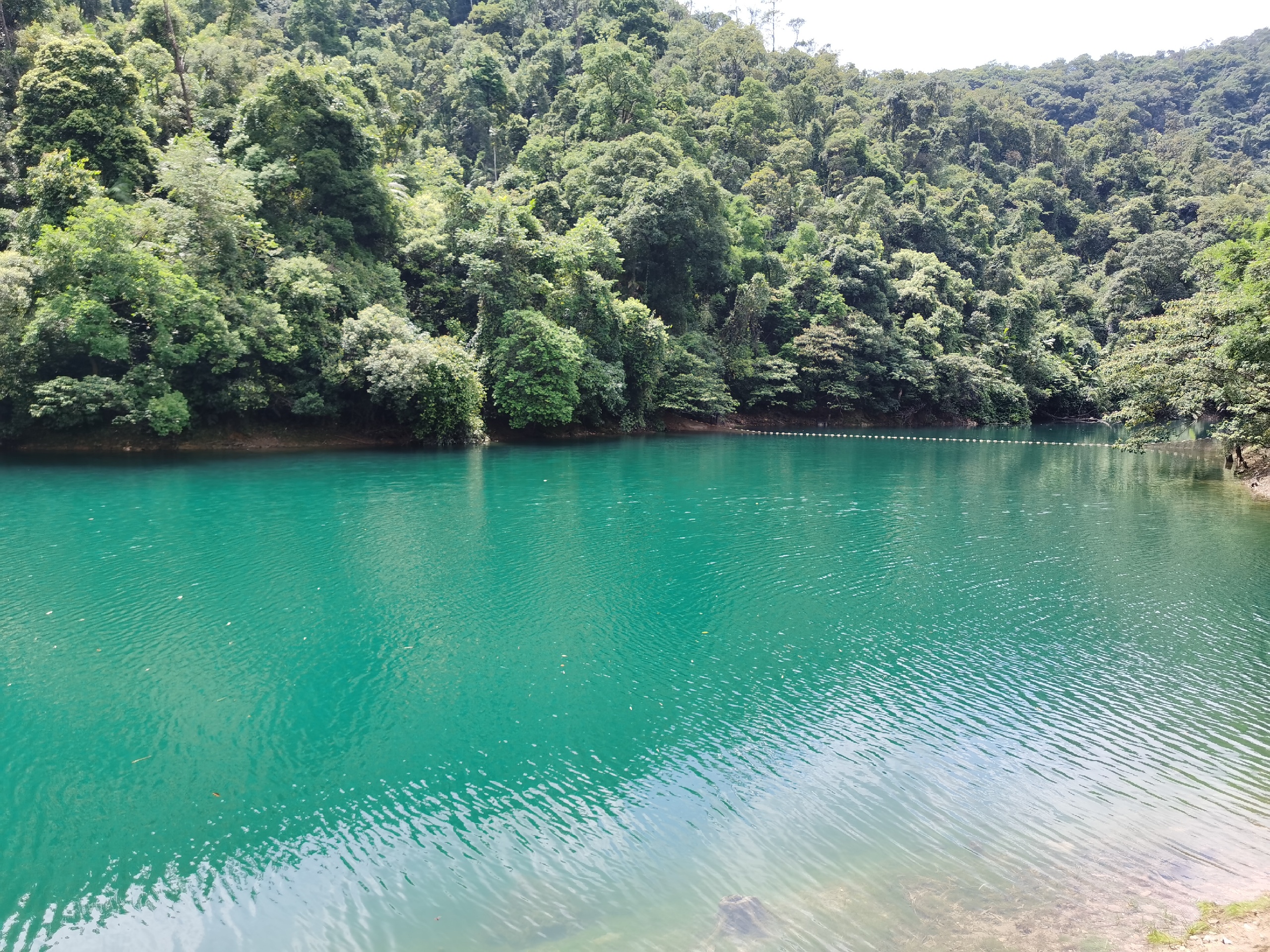 鼎湖山国家级自然保护区-天湖景区