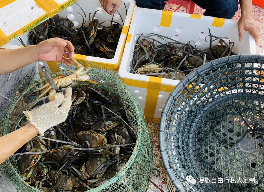 不是所有的青蟹都叫牛田洋青蟹