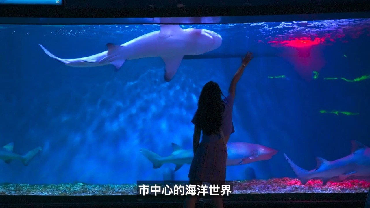 广州正佳极地海洋世界攻略,正佳极地海洋世界门票_, .