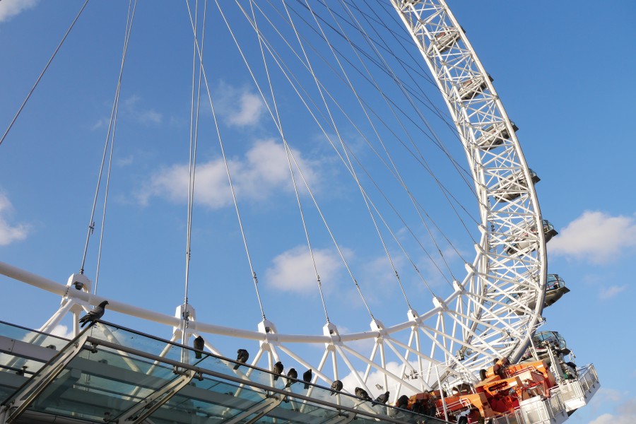 英国伦敦眼londoneye实用教学