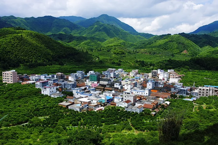 广州出发从化一日游流溪河国家森林公园溪头村冬季赏梅花竹海瀑布赏