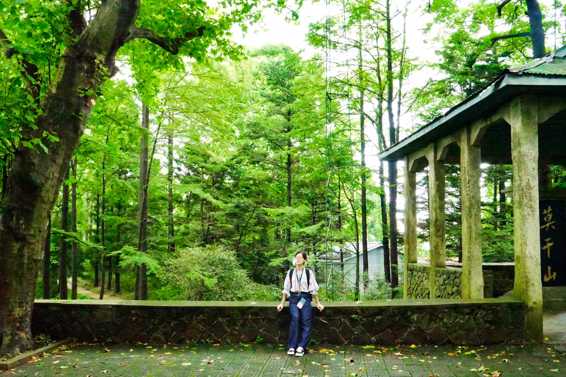 莫干山游记