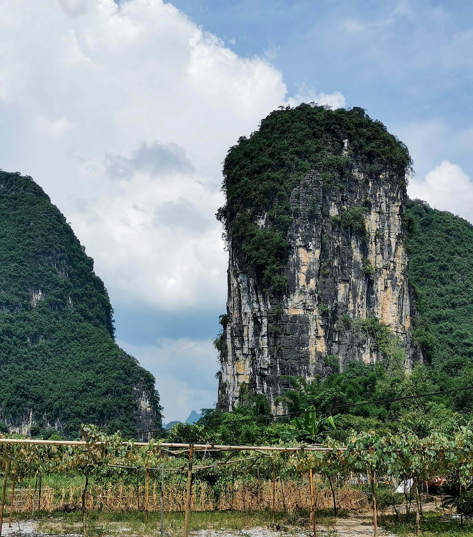 十里画廊在阳朔县城附近,一路上的景区有图腾古道,蝴蝶泉,大榕树,聚