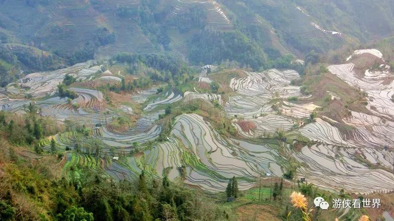 七彩云南:元阳老虎嘴梯田落日