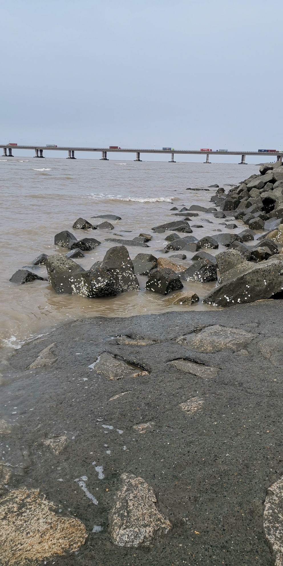 上海周边游(南汇新城海滩)