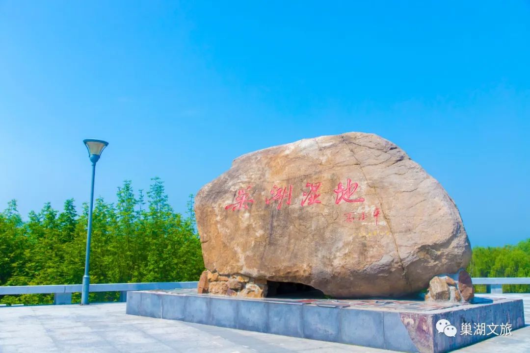 春游江淮请您来!来巢湖湿地公园来一场美丽邂逅