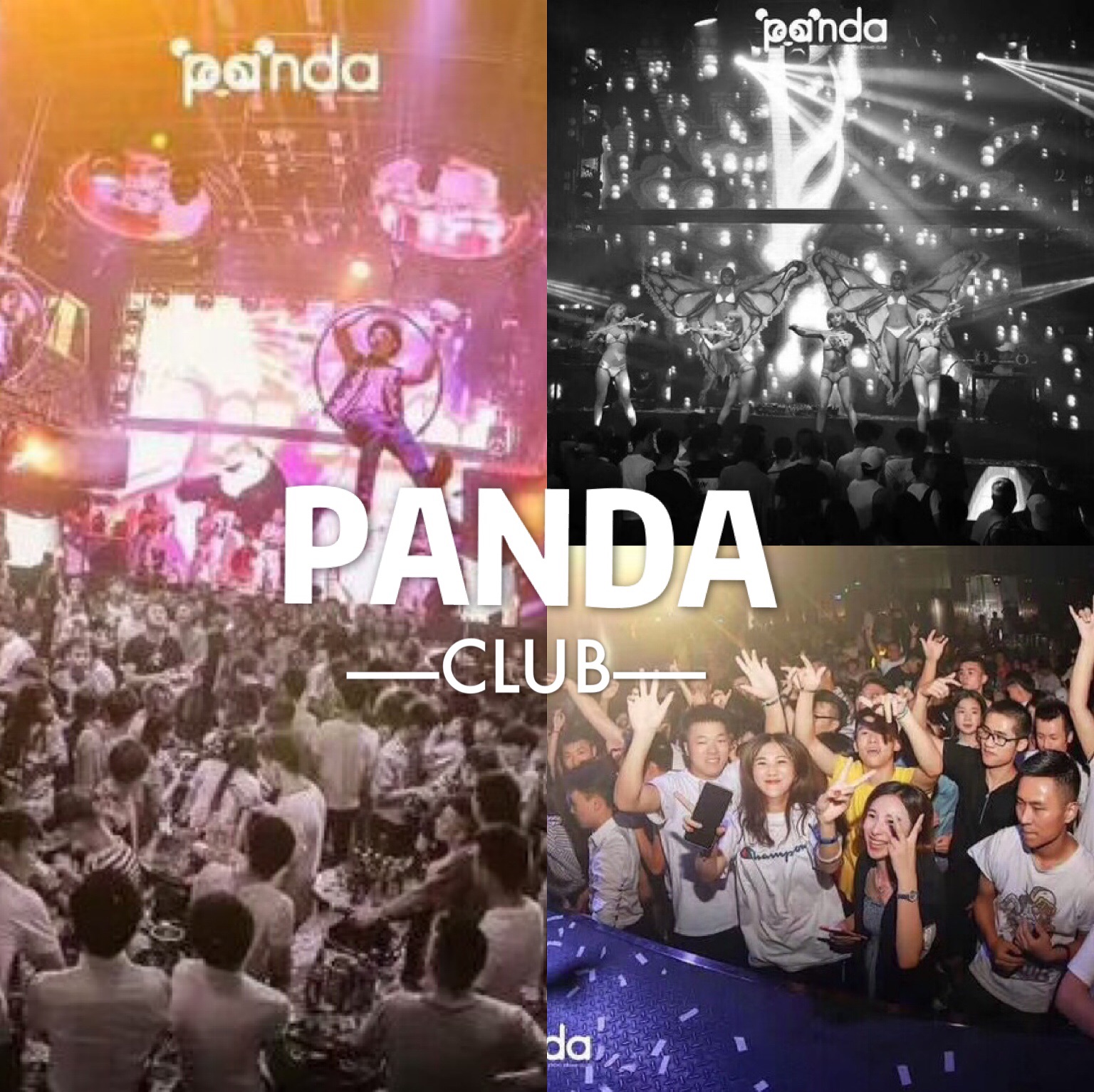 panda club