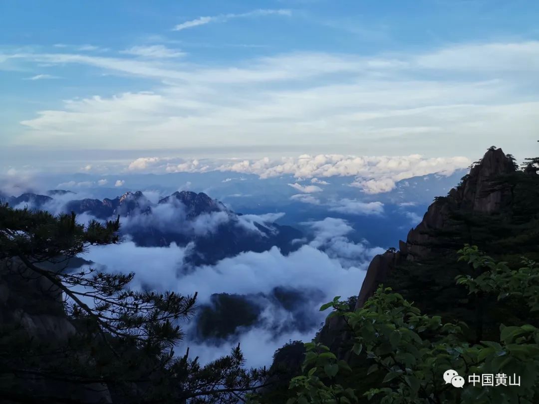 好消息黄山风景区荣登2019年度5a级景区品牌100强榜单