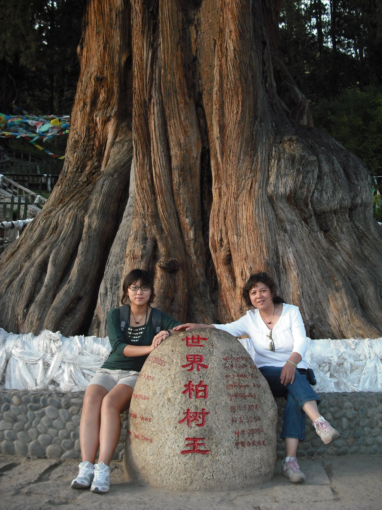 人在旅途，景在窗外（七）窦志达