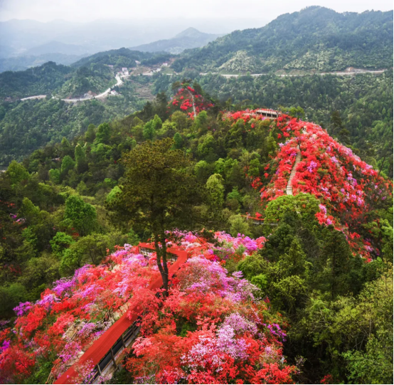                 岳西县天峡风景