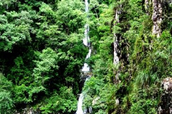 赣州市三百山风景名胜区门票(凭二维码换票入园)